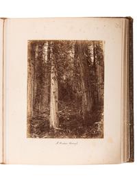 [EARLY PHOTOGRAPHY]. NOTMAN, William (1826-1891) & John A. FRASER (1838-1898), photographers. Canadian Scenery . Toronto: Notman & Fraser, [ca 1876?].