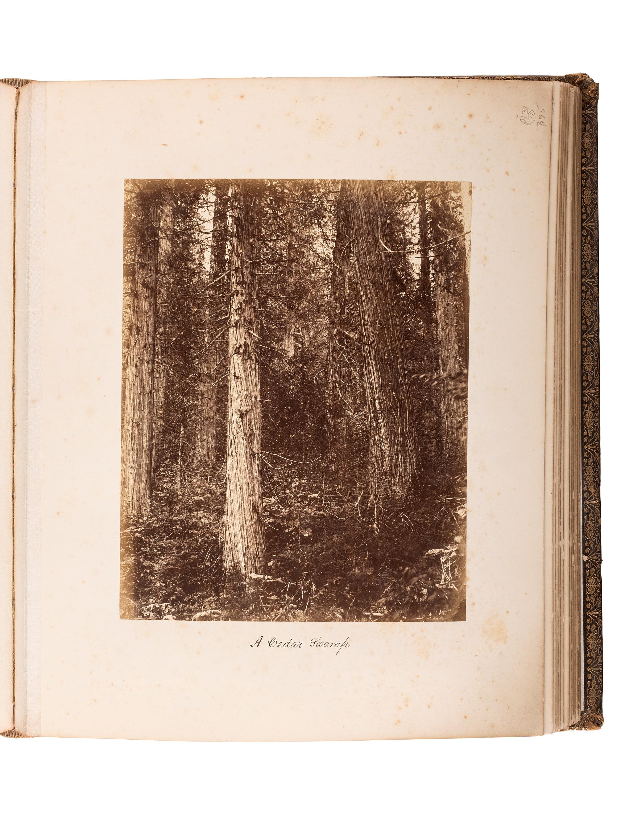 [EARLY PHOTOGRAPHY]. NOTMAN, William (1826-1891) & John A. FRASER (1838-1898), photographers. Canadian Scenery . Toronto: Notman & Fraser, [ca 1876?].