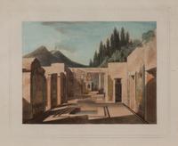 A Collection of Hand-Colored Engravings by Jules Frederic Bouchet Framed 20 3/4 x 16 3/4 inches. — (French, 1799-1860)