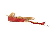 Plains Hair Roach