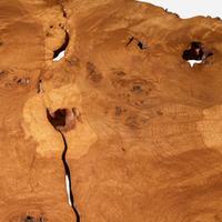 George Nakashima (American, 1905-1990) Exceptional English Oak Burl "Slab" Coffee Table, New Hope, Pennsylvania, 1967