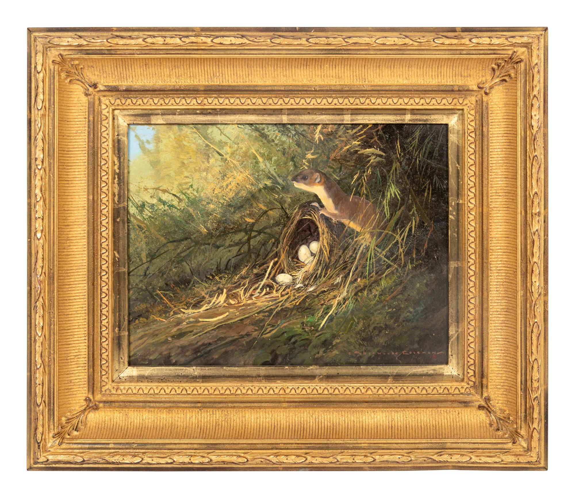 Bird Nest