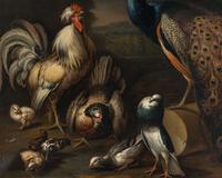 Peacock, Cockerel and Other Birds in a Landscape