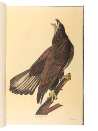 AUDUBON, John James (1785-1851). The Birds of America . New York and Amsterdam: Johnson Reprint Co. & Theatrum Orbis Terrarum [i.e. Nico Israel], 1971-1972.