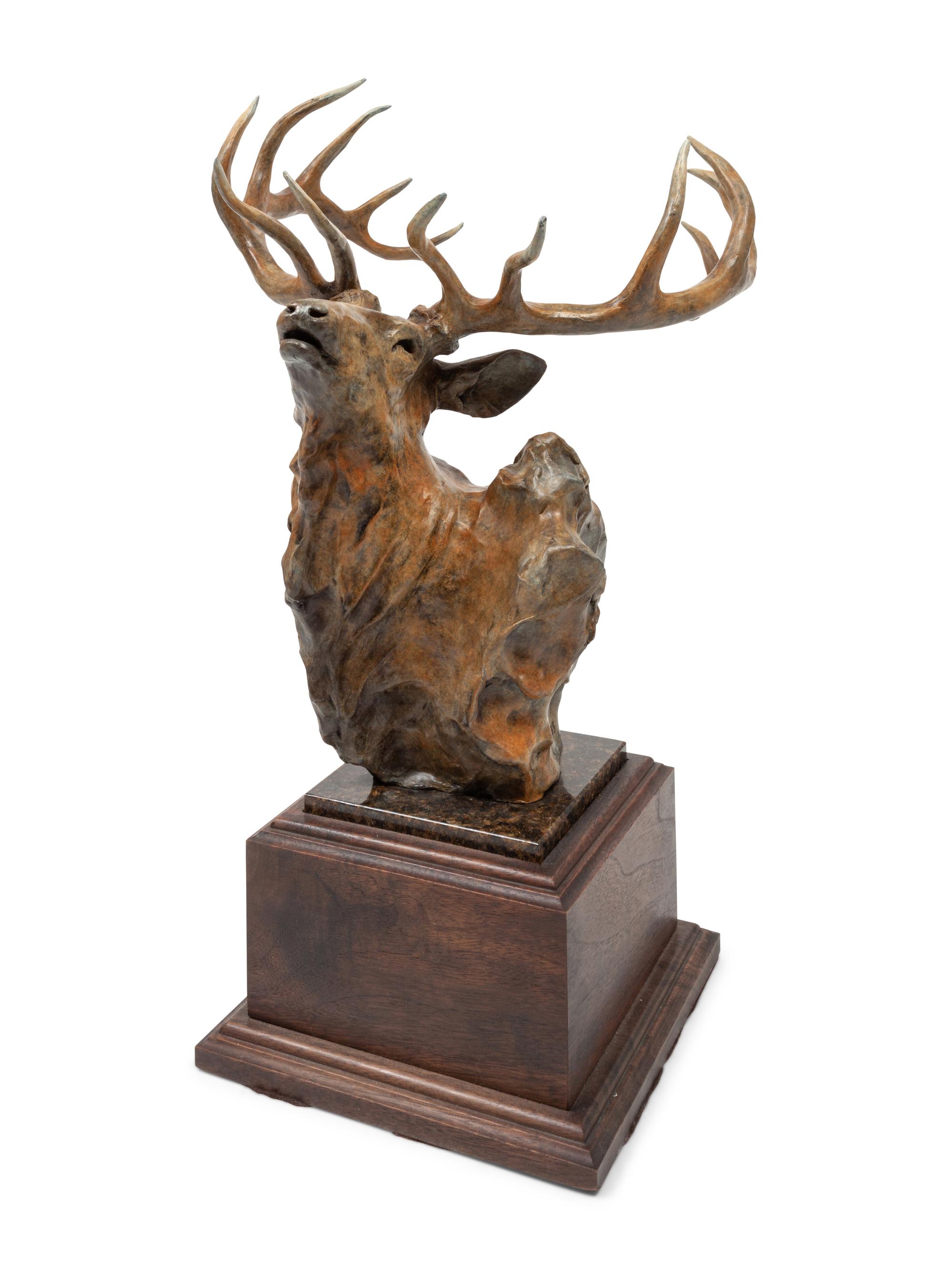 Elk Head , edition 1/35