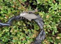 Two Silver Articulated Models of Insects