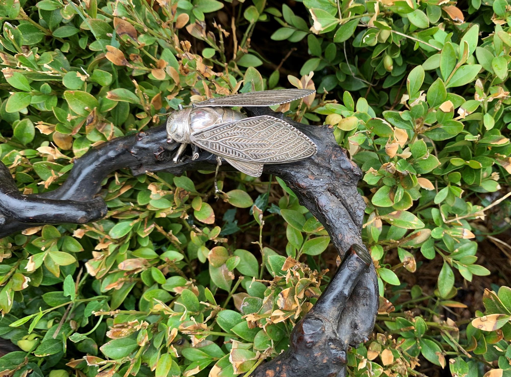 Two Silver Articulated Models of Insects