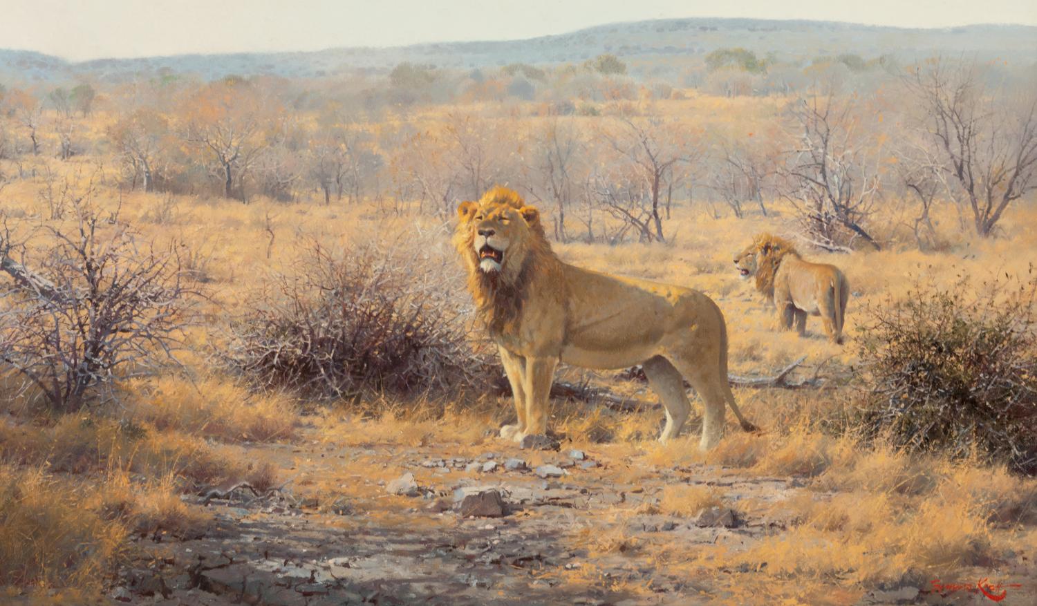 Patrolling the Territory