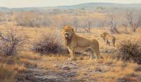 Patrolling the Territory