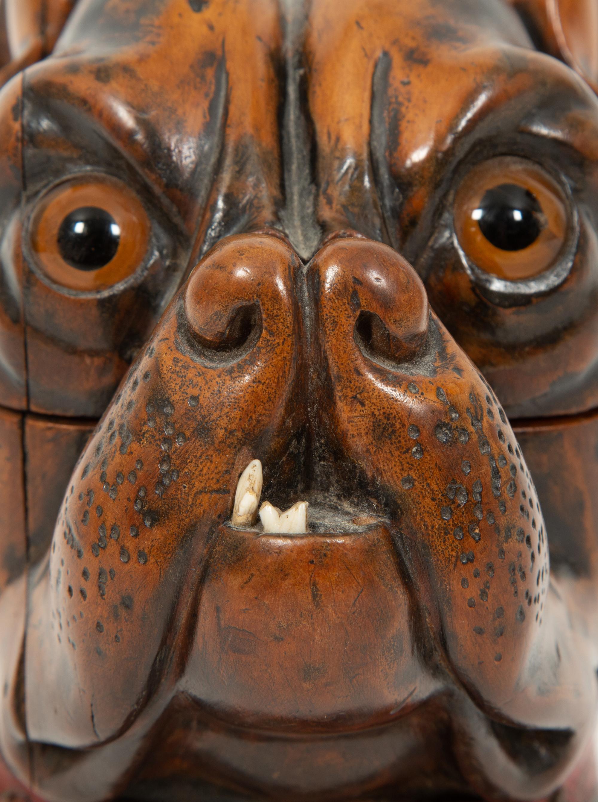 An English Treen Dog Humidor