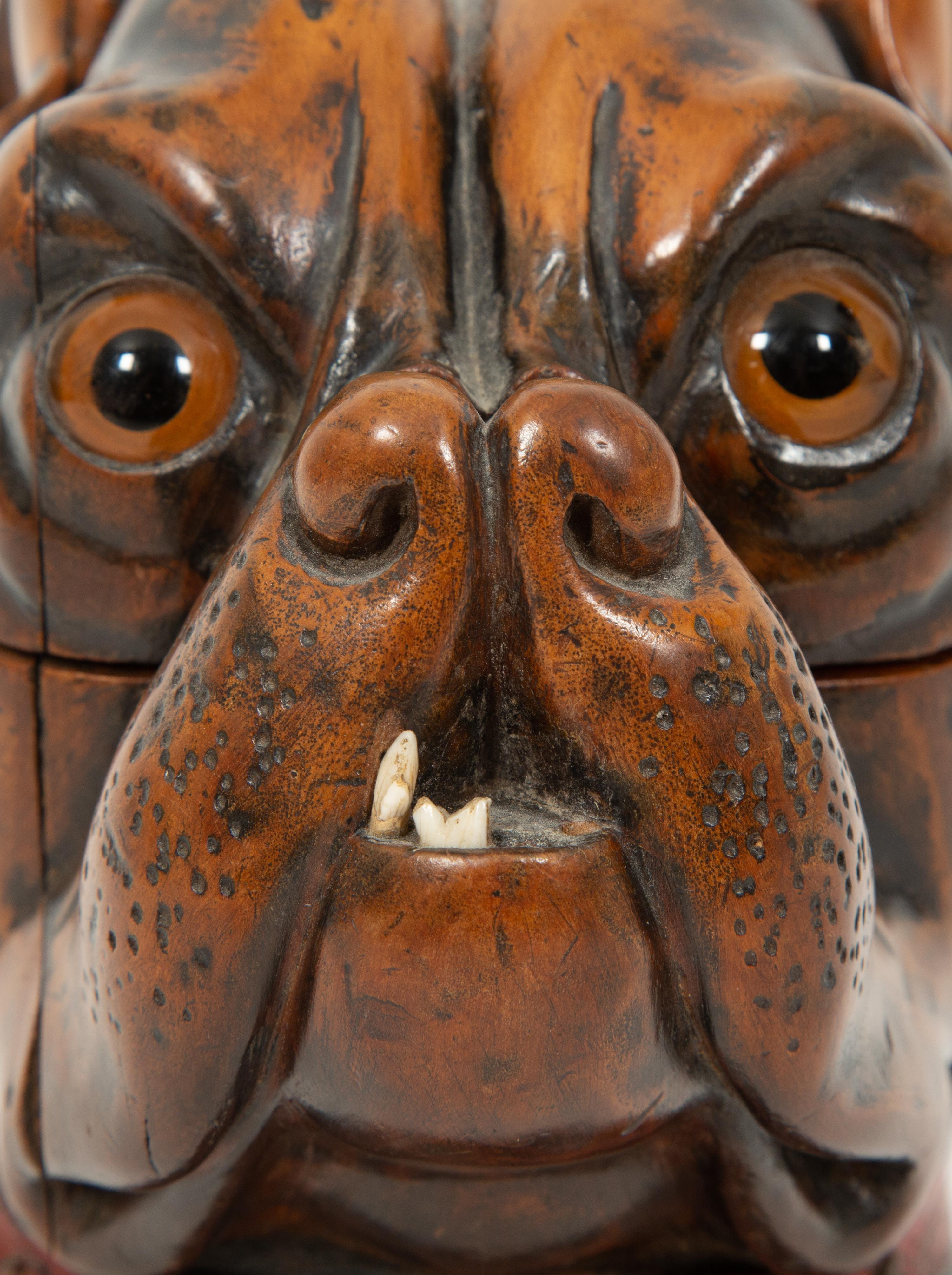 An English Treen Dog Humidor