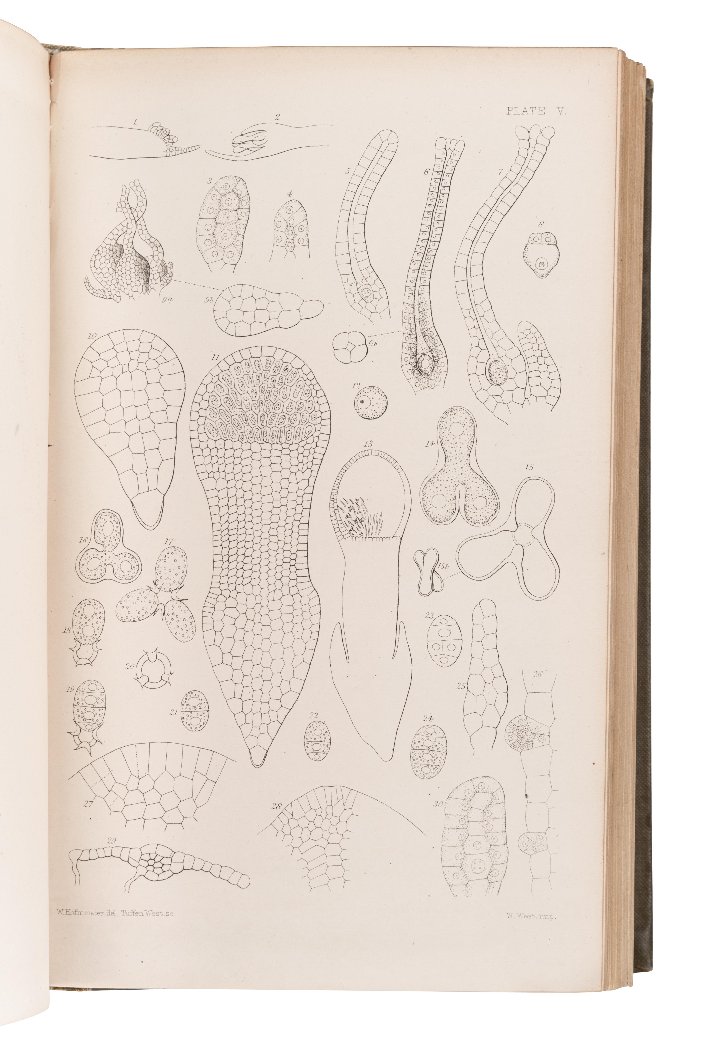 [BRITISH FLORA & FAUNA]. A group of 5 works, comprising: