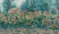 Jardin en fleurs (Les rosiers)