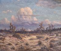 Arizona Desert