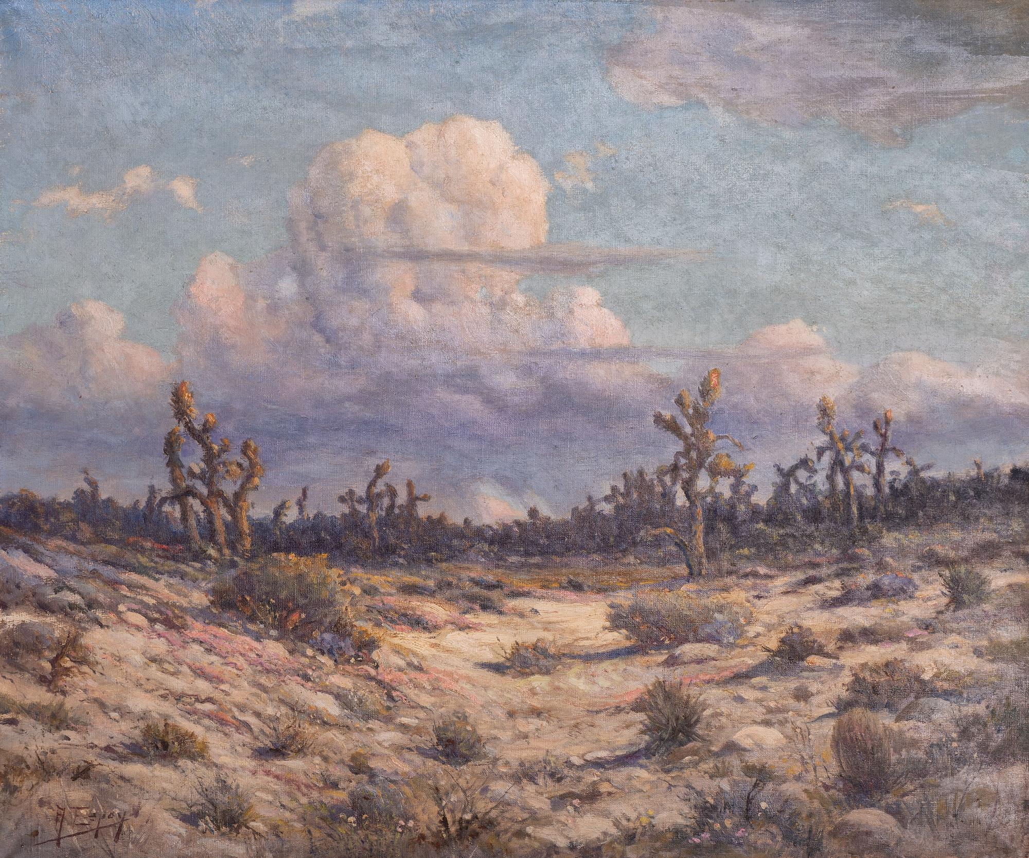 Arizona Desert