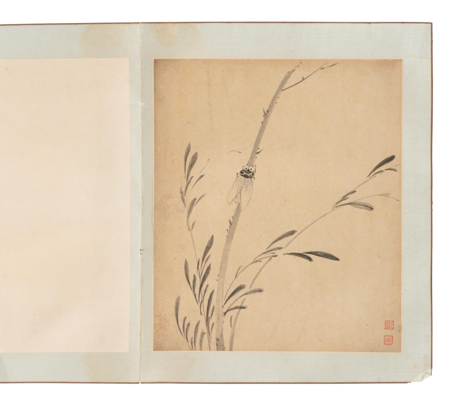 Attributed to Yun Shouping ( Chinese, 1633-1690), Jiang Tingxi ( Chinese, 1669-1732) 惲壽平（款）、蔣廷錫