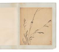 Attributed to Yun Shouping ( Chinese, 1633-1690), Jiang Tingxi ( Chinese, 1669-1732) 惲壽平（款）、蔣廷錫