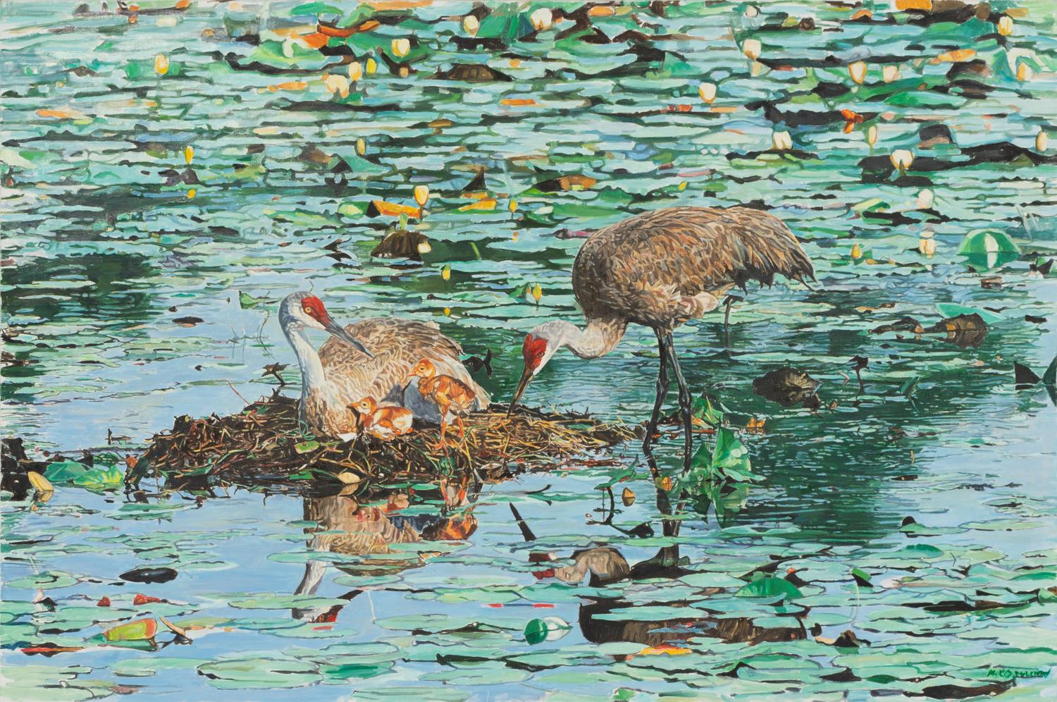 Bird Family