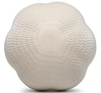 Corrugated Jar