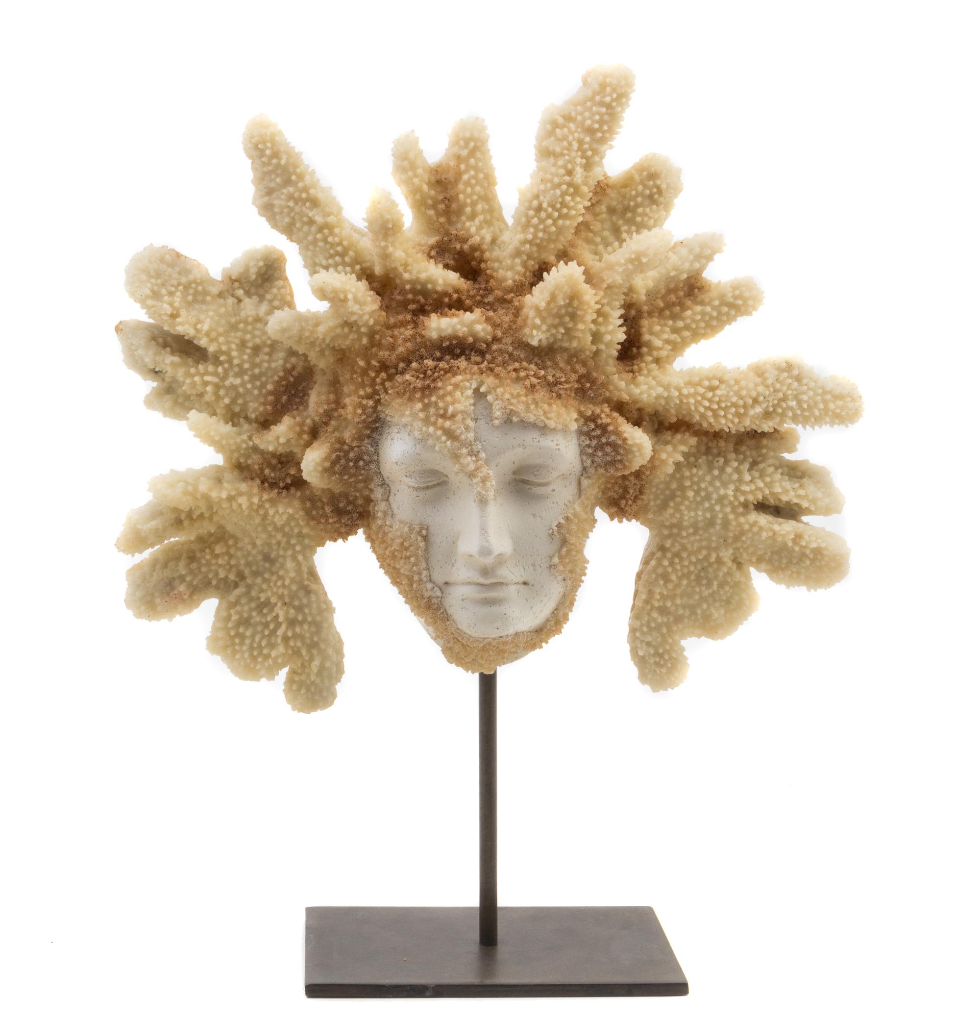 A Coral Mounted Plaster Sculpture Height 19 inches.