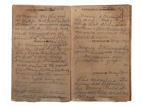 [CIVIL WAR]. Diary of Assistant Surgeon Robert P. Davis, 84th Indiana Regiment.