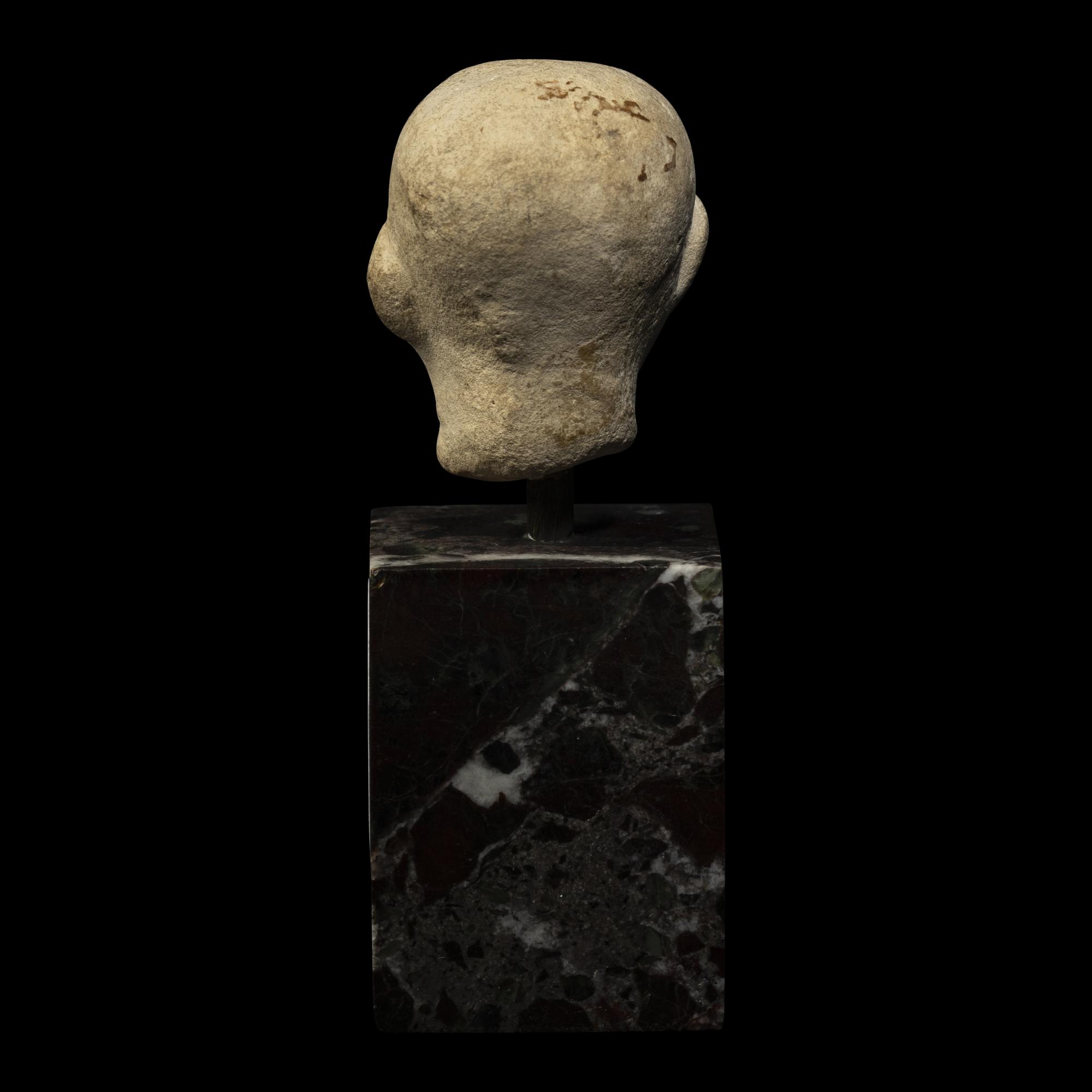 An Egyptian Limestone Head