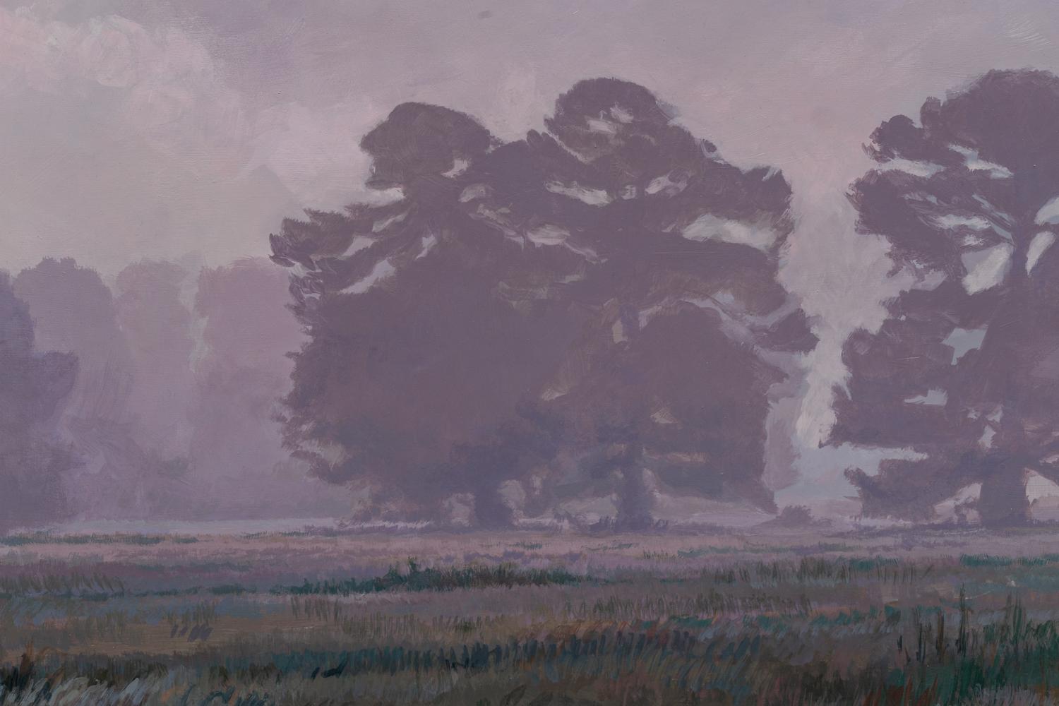 Foggy Meadow
