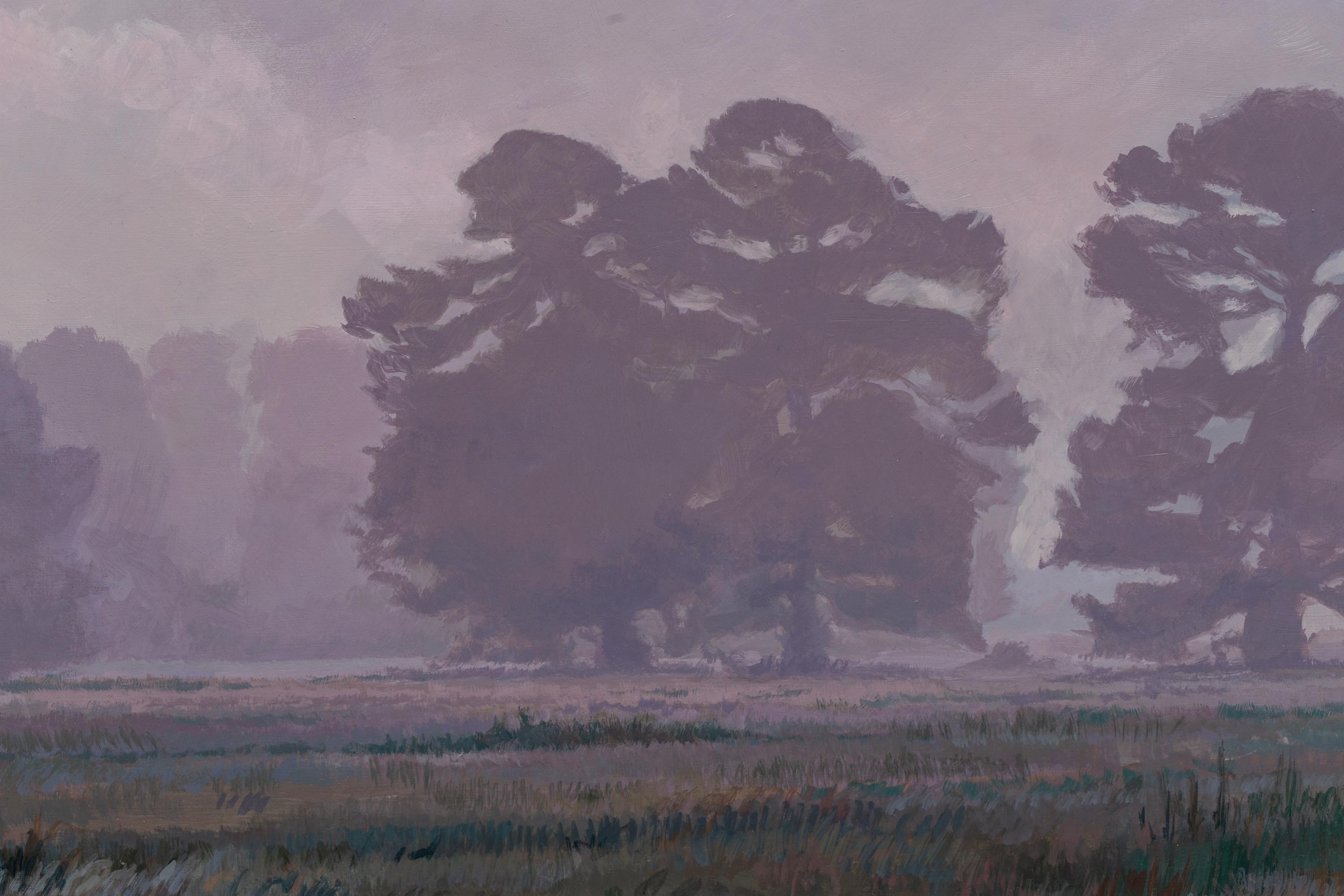 Foggy Meadow