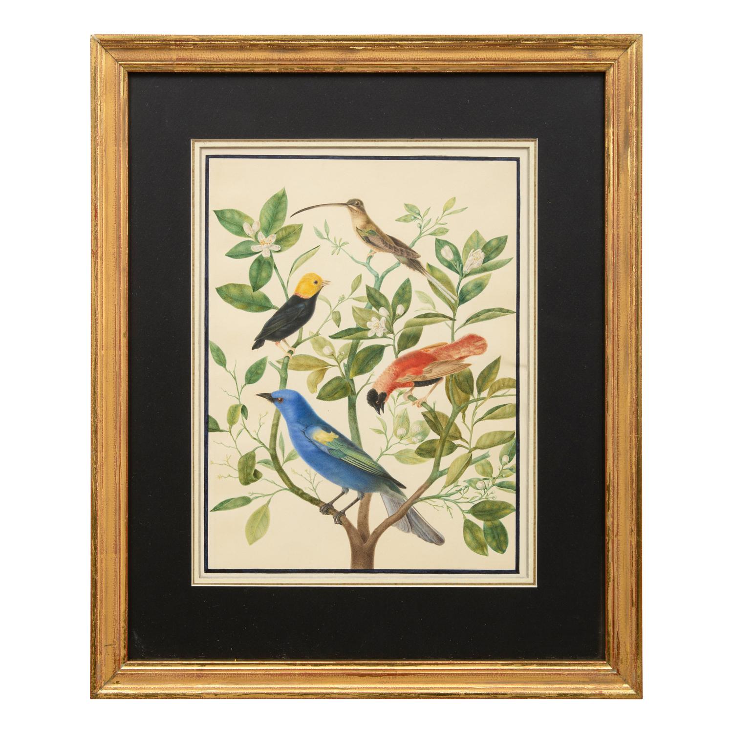 A Group of Three Framed Gouache Illustrations of Birds