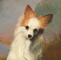 Seated Terrier