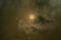Moonlit Scene