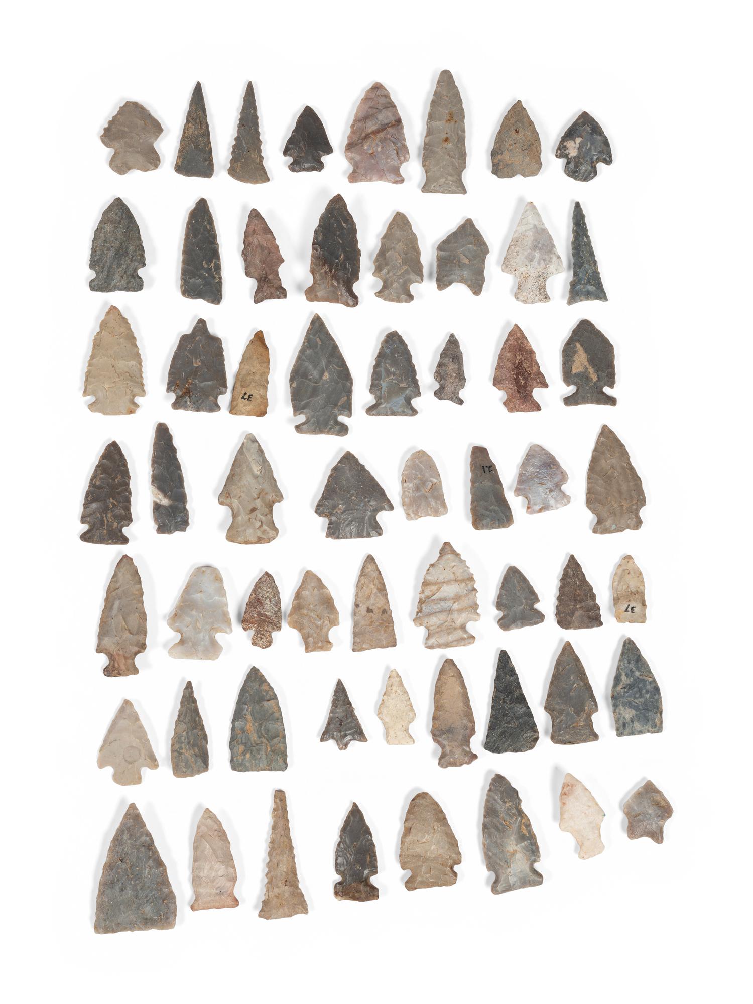 A Variety of Bird Points