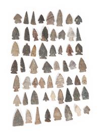 A Variety of Bird Points
