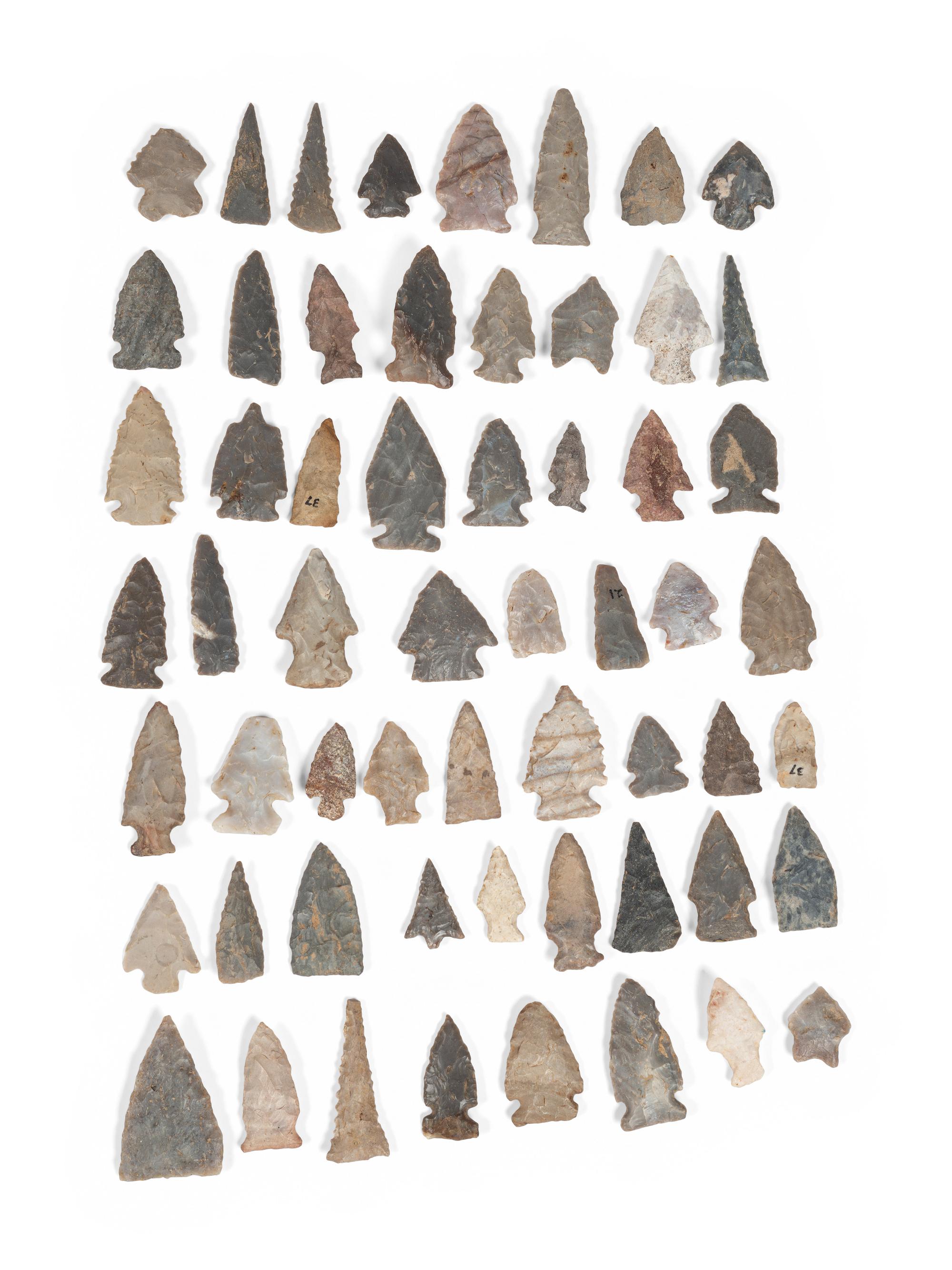 A Variety of Bird Points