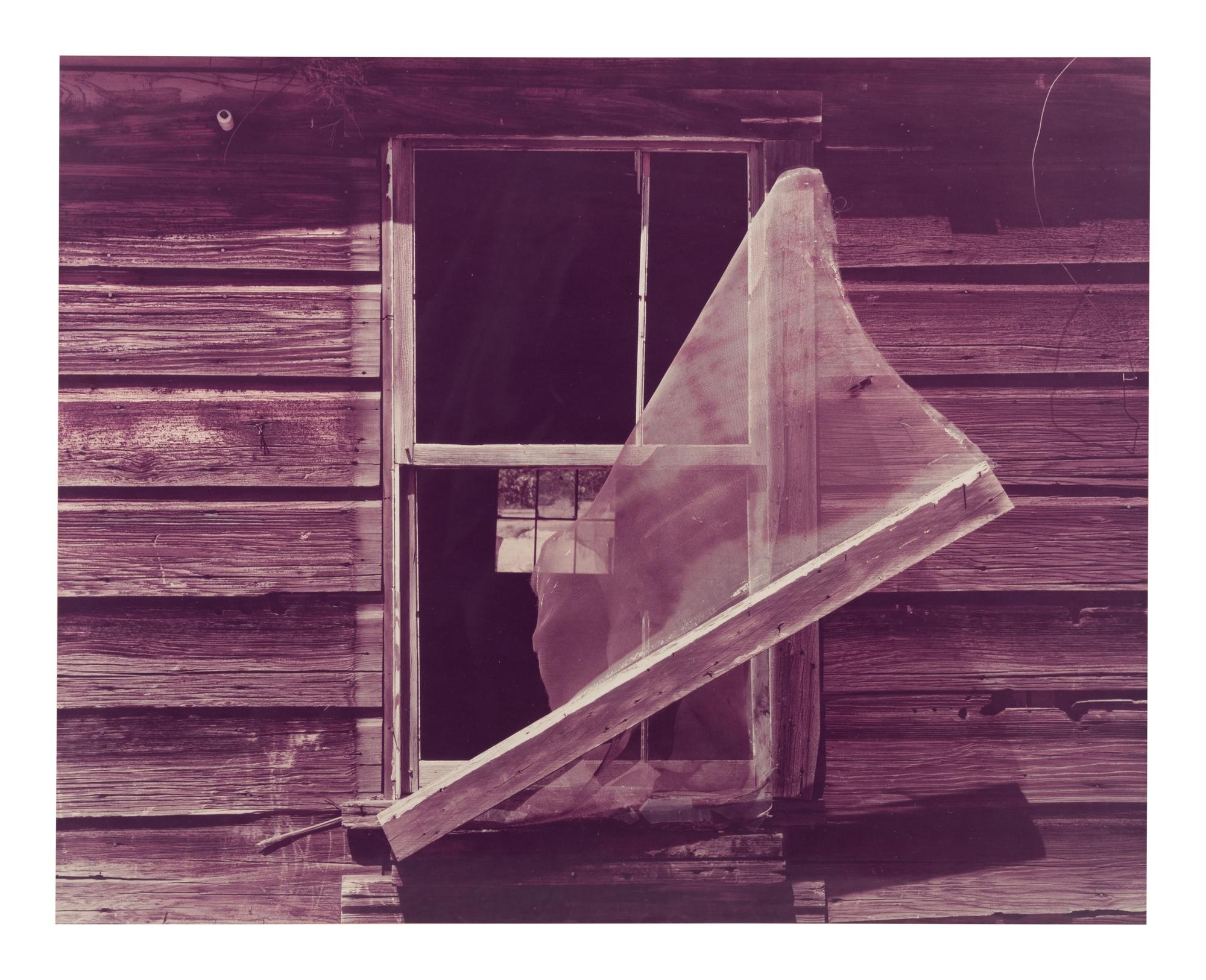 Deserted Shack