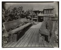 A Group of Three Images Depicting Florida, 1954
