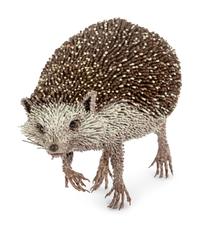Hedgehog , 2010