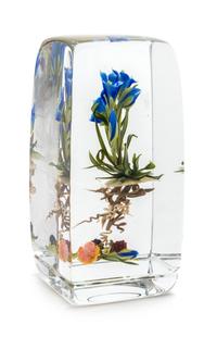 Clear Botanical, 1988
