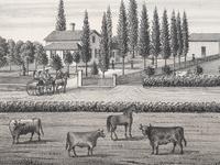 Printed City Views and Farm Scenes of Bloomingdale and Dupage County, Ill. N.p.: N.d. 23 x 21 In. Matted and framed.
