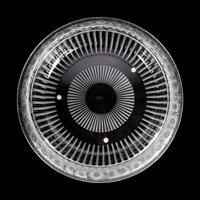 A Lalique Marguerites Bowl