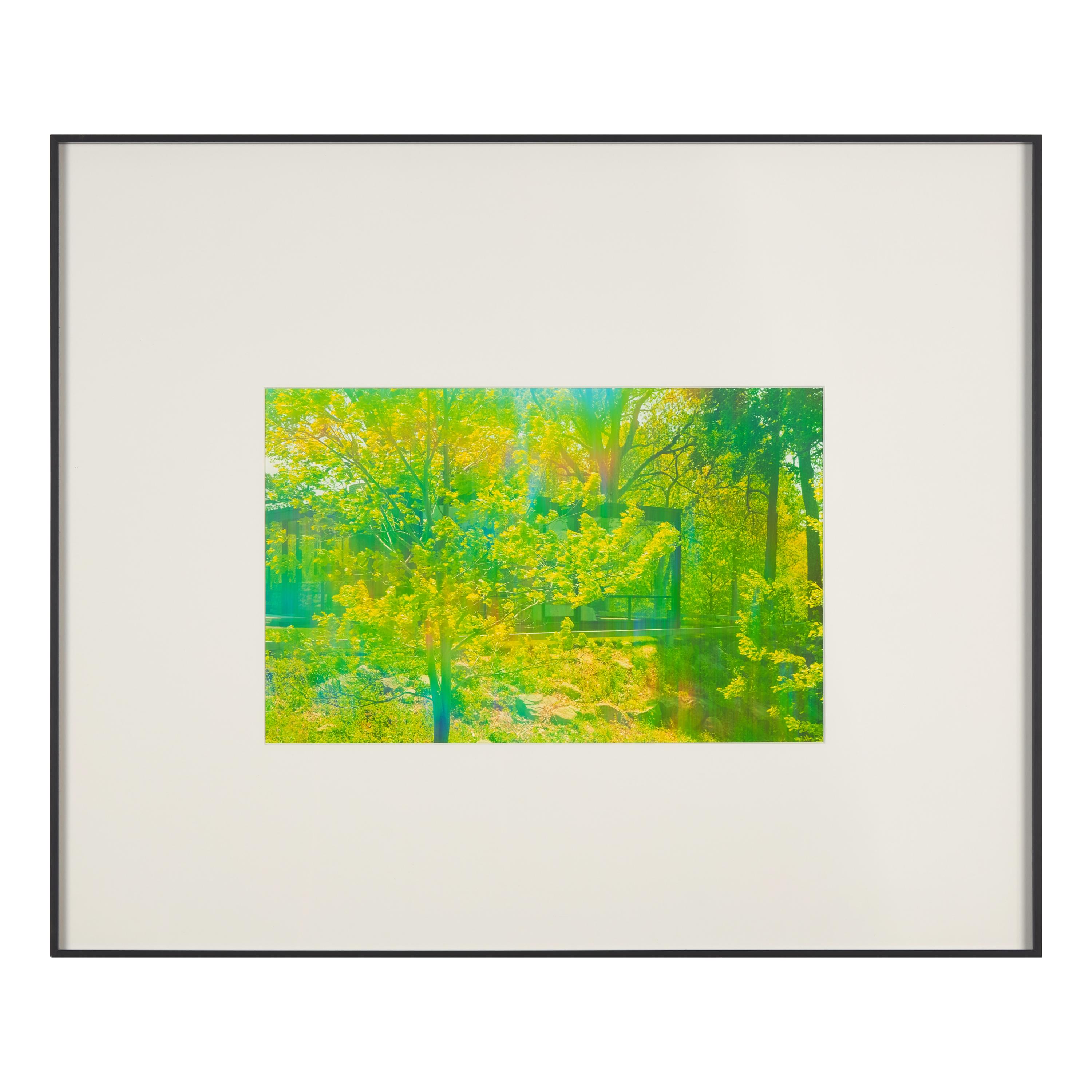 James Welling (American, b. 1951) — Aperture Portfolio (complete portfolio of seven), 2013