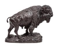 Buffalo