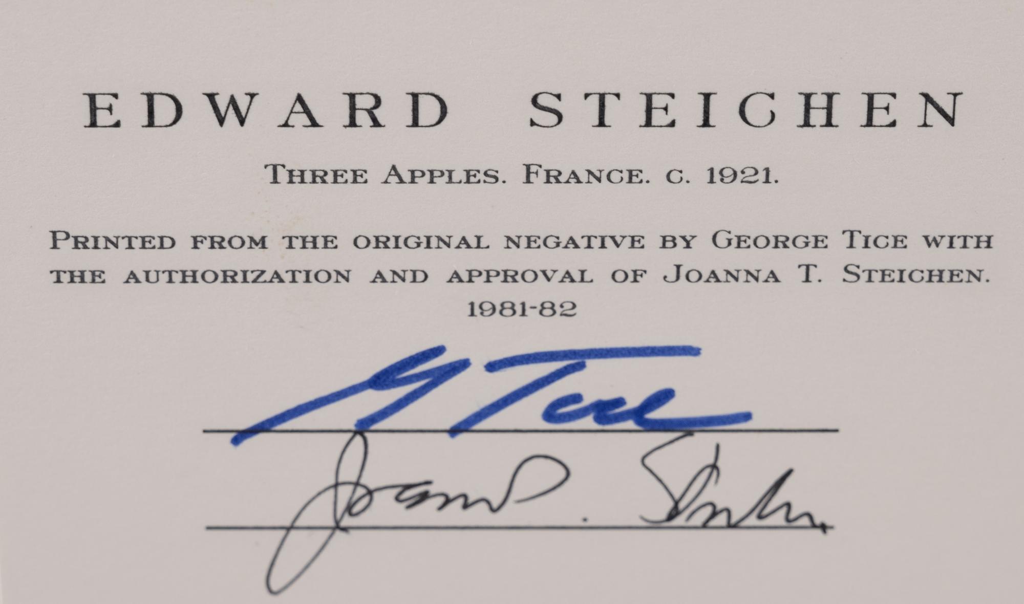 A group of twenty-one photographs (from Twenty-five Photographs printed by George Tice with labels signed by George Tice and Joanna Steichen)