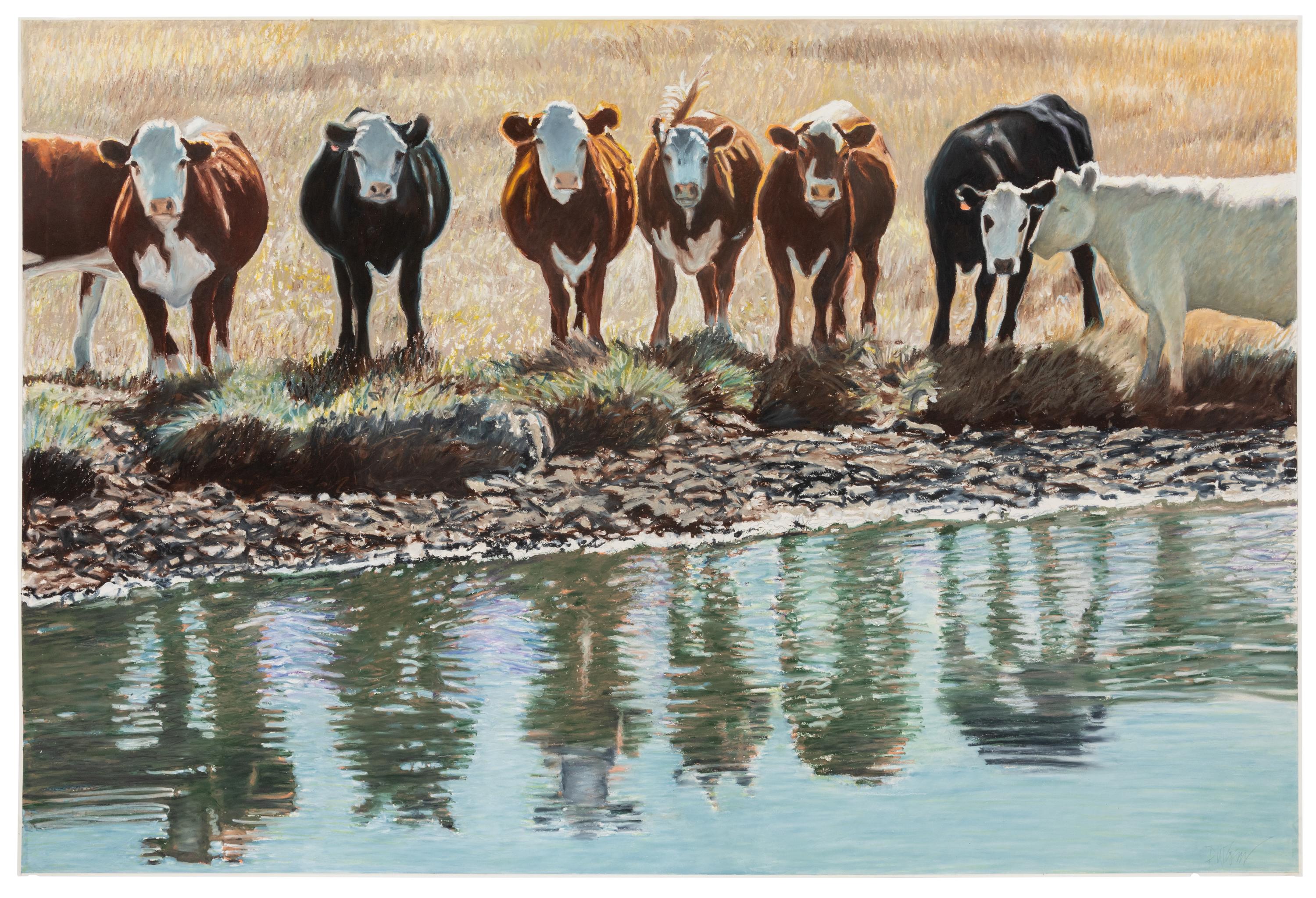 Untitled (Cows)