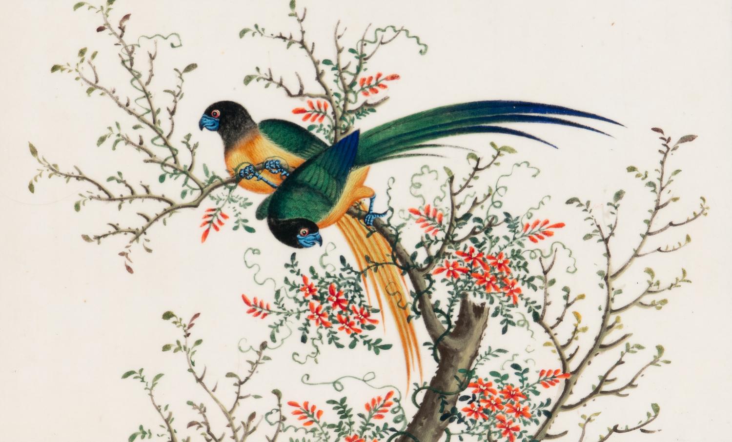 A Set of Twelve Chinese Export Watercolor and Pith Paintings of Exotic Birds