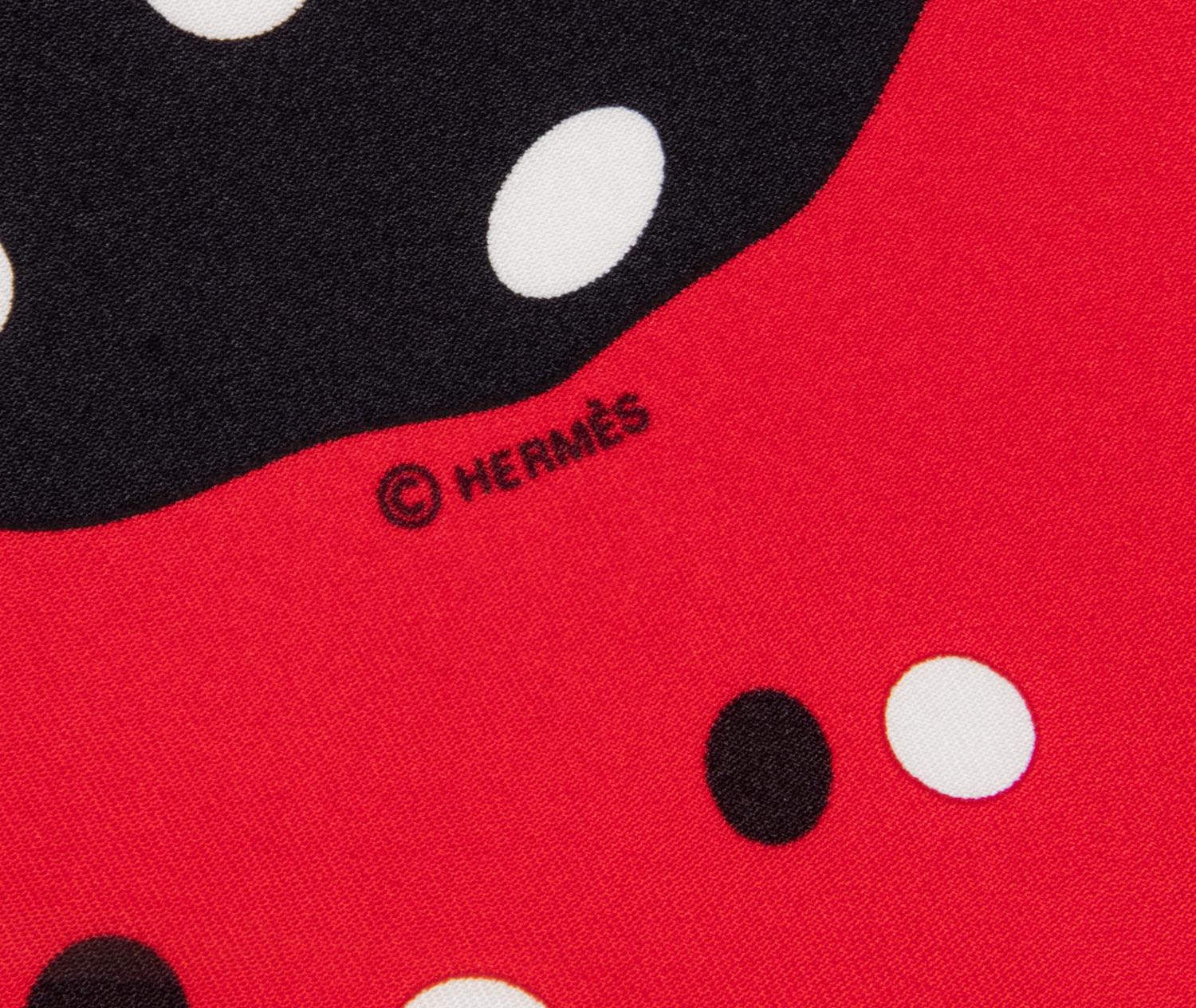 Two Hermès Scarves