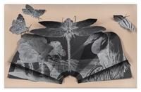 Untitled (Insect Fan)