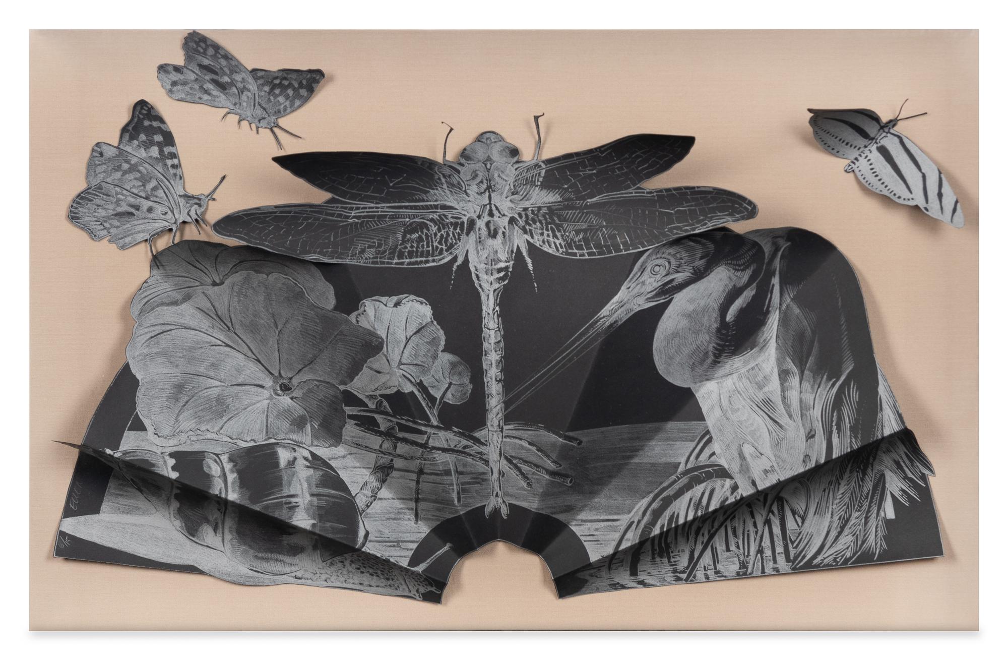 Untitled (Insect Fan)