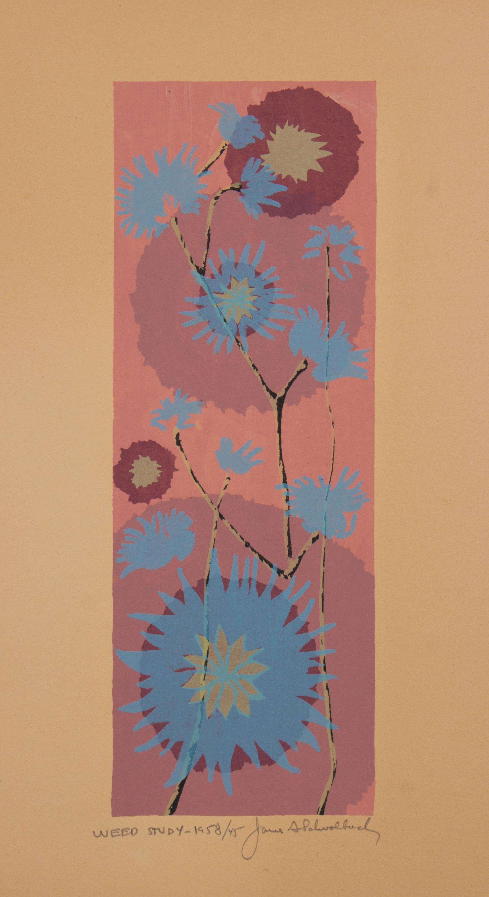James Schwalbach, (Wisconsin, b. 1912), Weed Study, 1958 (a suite of twelve works)
