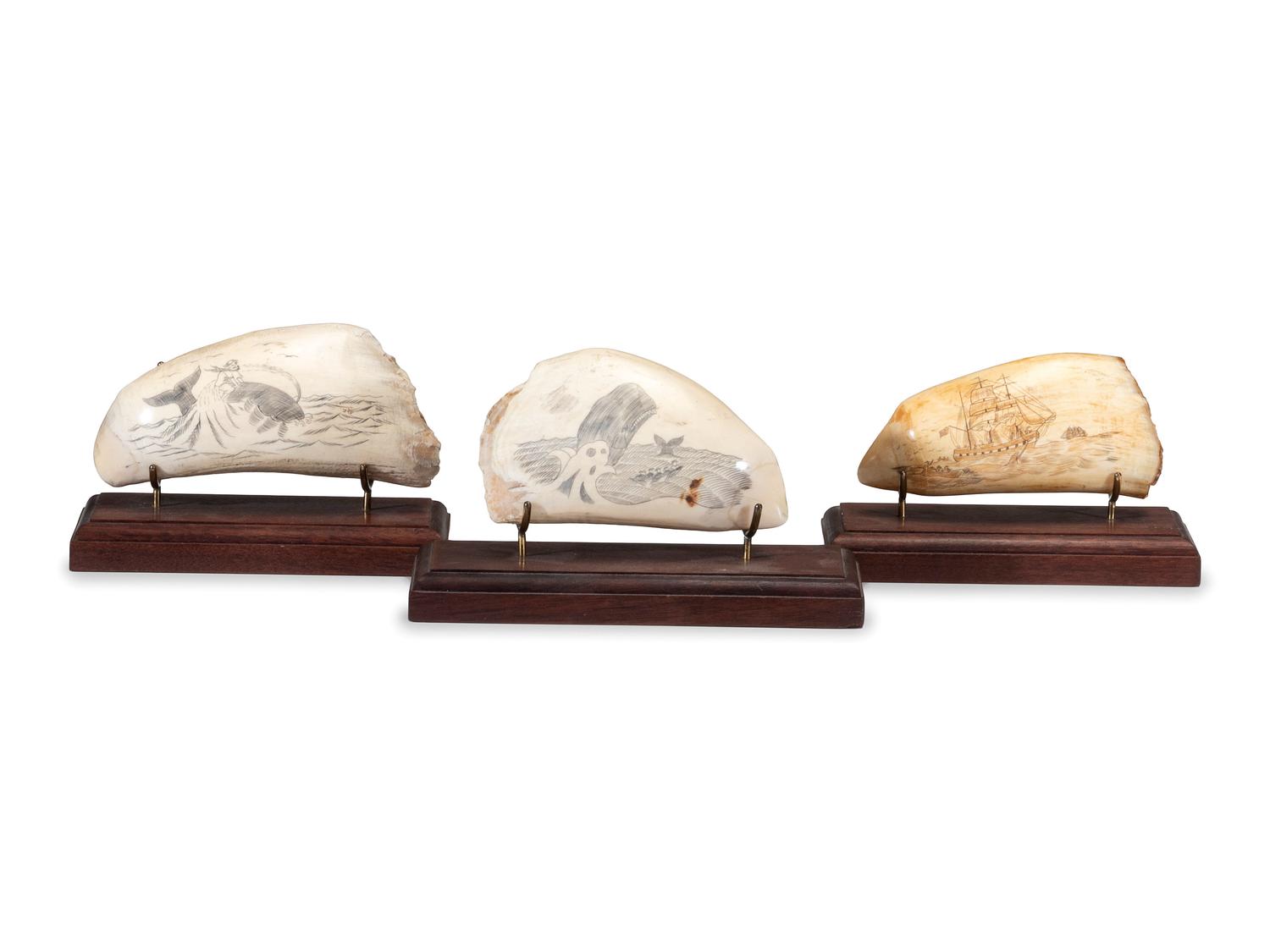 Three Scrimshaw Whale's Teeth